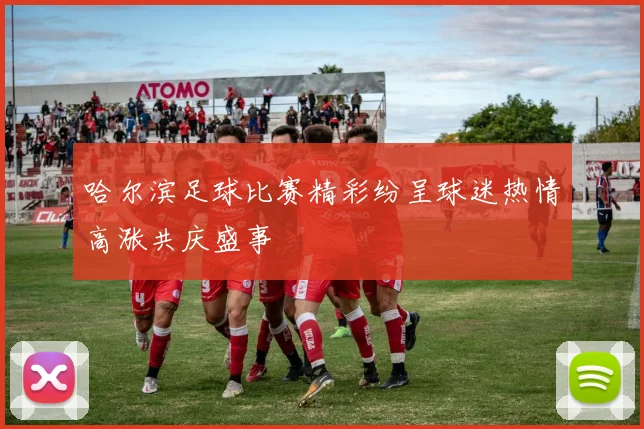 哈尔滨足球比赛精彩纷呈球迷热情高涨共庆盛事