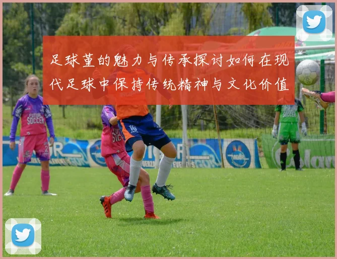 足球堇的魅力与传承探讨如何在现代足球中保持传统精神与文化价值